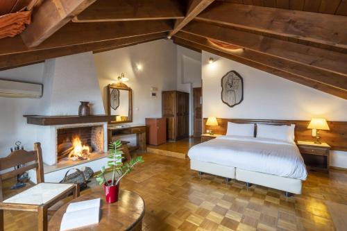 阿拉霍瓦多莫特阿尼莫里亚山度假酒店的一间卧室配有一张床和一个壁炉