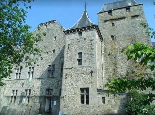 AnthisnesGîte d'Anthisnes的一座带塔楼的大型石头建筑