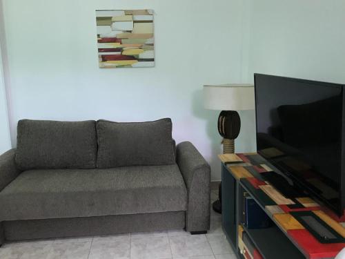 乌斯怀亚Del Bosque 487 Apartamento的带沙发和平面电视的客厅