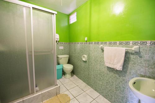 库斯科图利斯提克雷科莱塔旅舍的绿色浴室设有卫生间和淋浴。