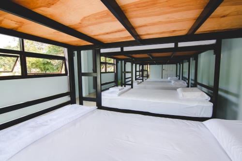考索Khaosok Secret Hostel的窗户房间里一排四张床