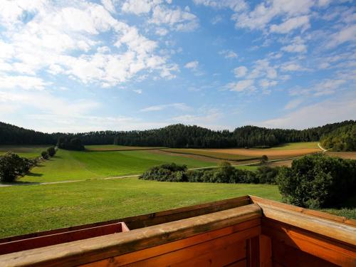 波滕施泰因Ferienwohnung Hutzler的享有带木栅栏的绿色田野的景色