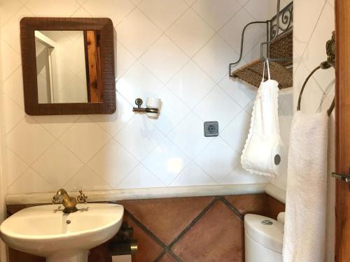 马拉加Alojamiento con Encanto en Málaga的一间带水槽、镜子和卫生间的浴室