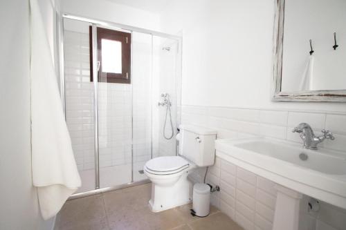 塞萨利内斯Sa Tanqueta的浴室配有卫生间、淋浴和盥洗盆。