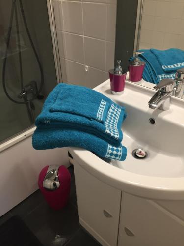 沙托鲁Appartement Le Grand Parc的浴室设有水槽上的蓝色毛巾