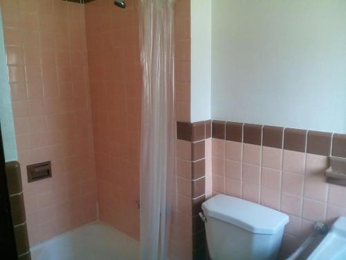 Mount StormMountaineer Motel的带淋浴、卫生间和盥洗盆的浴室