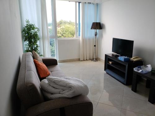 查梅Ibiza Playa Corona的带沙发和电视的客厅
