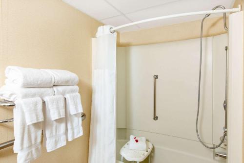 格兰德岛Ramada by Wyndham Midtown Grand Island的带淋浴、卫生间和毛巾的浴室