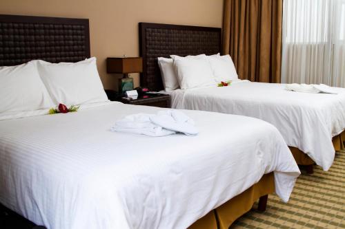圣何塞Rincon del Valle Hotel & Suites的配有白色床单的酒店客房内的两张床