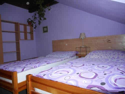 捷克布杰约维采乌莱萨酒店的卧室设有两张单人床和紫色墙壁