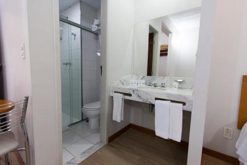 圣若泽杜斯坎普斯迪朱利奥酒店的一间带水槽、淋浴和卫生间的浴室