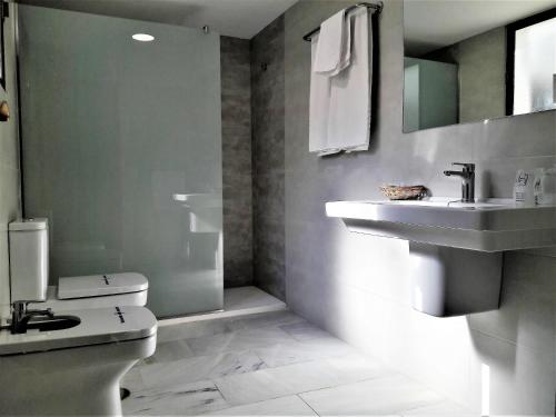 科尔多瓦阿威罗伊酒店的一间带水槽和卫生间的浴室