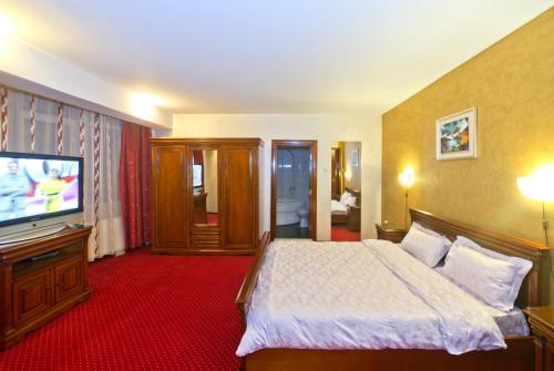 克拉约瓦巴伐利亚酒店的配有一张床和一台平面电视的酒店客房