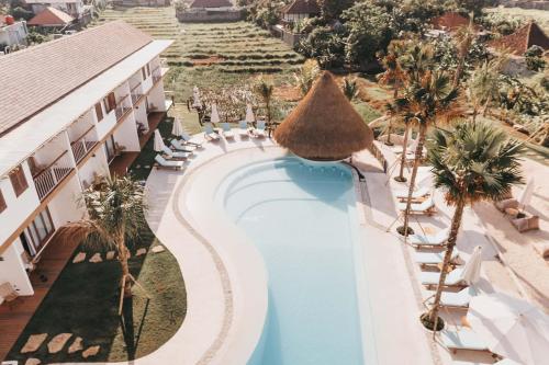 坎古Kos One Hostel的享有棕榈树度假村游泳池的空中景致