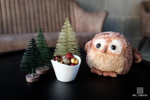 北碧Owl Poshtel Kanchanaburi的小型圣诞树旁的猫头鹰的象形