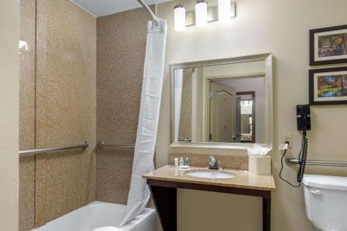 雪松山Comfort Inn & Suites Cedar Hill Duncanville的一间带水槽、淋浴和卫生间的浴室