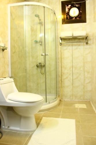 巴格达巴格达国际机场酒店的一间带卫生间和玻璃淋浴间的浴室