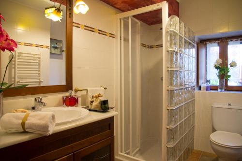 San MartínCasa Rural Lazkano en Sierra de Urbasa的一间带水槽、淋浴和卫生间的浴室