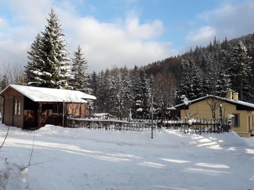 斯托尼拉斯奇Zbójnicki Ostęp的雪中小屋,有栅栏和树木