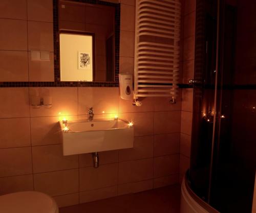 Apartamenty Przy Trakcie Cesarskim的一间浴室