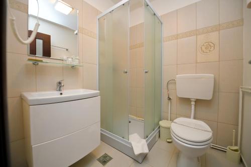 哈采格Vip Motel Restaurant的浴室配有卫生间、盥洗盆和淋浴。