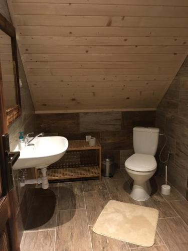 里托斯基挪威克66号普里瓦民宿的浴室配有白色水槽和卫生间。