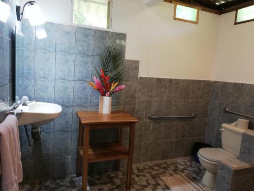 卡维塔Cabinas Nirvana Ecolodge的一间带水槽和卫生间的浴室以及一张种植了植物的桌子。