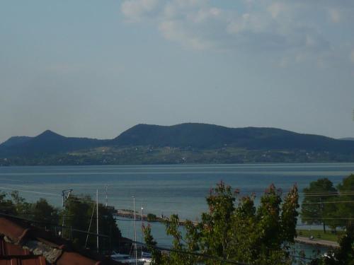 福纽德Holiday home in Fonyod/Balaton 18627的享有大片的山水美景