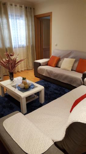 明德卢Private Apartament Celestina & Carlos的带沙发和咖啡桌的客厅