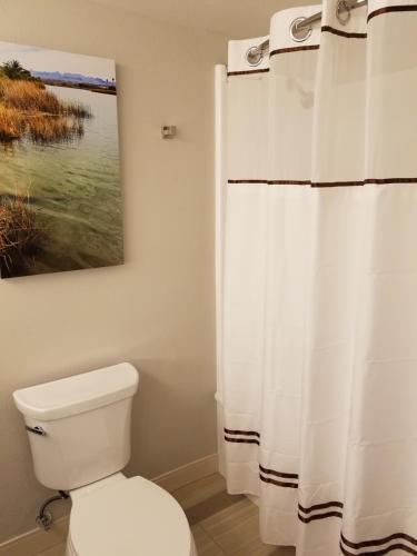 劳克林艾维度假酒店及赌场的一间带卫生间的浴室和墙上的绘画