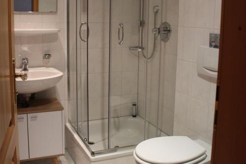 格洛特尔塔尔Gschwanderhof的带淋浴、卫生间和盥洗盆的浴室