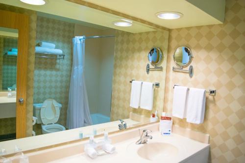 瓜纳华托瓜纳华托智选假日酒店的一间带水槽、镜子和卫生间的浴室