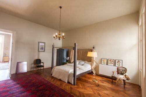 克卢日-纳波卡Camino Home的一间卧室配有一张天蓬床和吊灯。