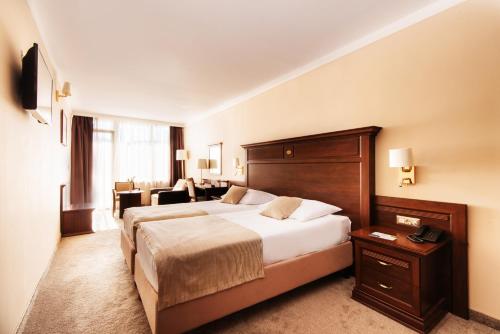 内乌姆Grand Hotel Neum Wellness & Spa的酒店客房设有一张大床和一间客厅。