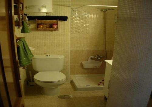 阿利坎特Calablu的一间带卫生间和淋浴的小浴室
