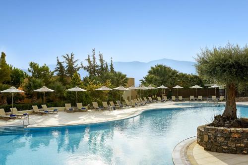 赫索尼索斯Village Heights Resort的一个带椅子和遮阳伞的大型游泳池