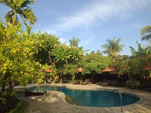 罗威那Rini hotel的一座树木繁茂的度假村中心游泳池