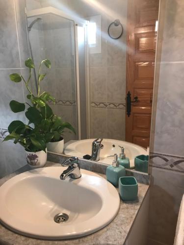 圣米格尔德阿沃纳Finca el Cortijo的一间带水槽和盆栽植物的浴室