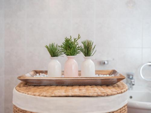 泰西多Marenklhof的浴室里桌子上三个花瓶,上面有植物