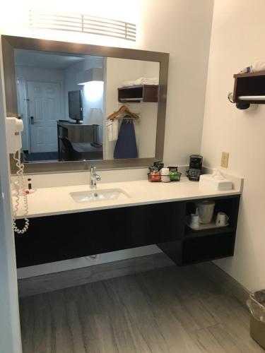 安德森贝蒙特旅馆套房酒店 - 安德森/克莱姆森的一间带水槽和大镜子的浴室
