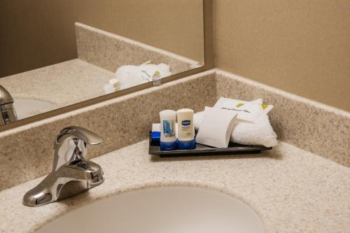 迪尔莱克鹿湖汽车旅馆的浴室的柜台设有水槽和镜子