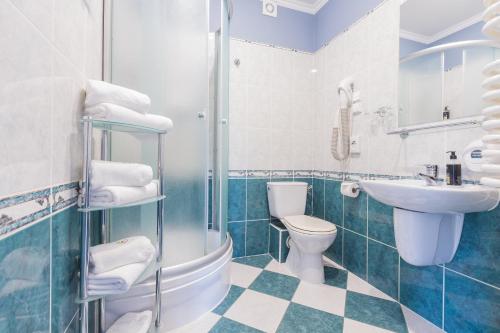 杜什尼基-兹德鲁伊弗莱德莱克酒店的一间带水槽、卫生间和淋浴的浴室