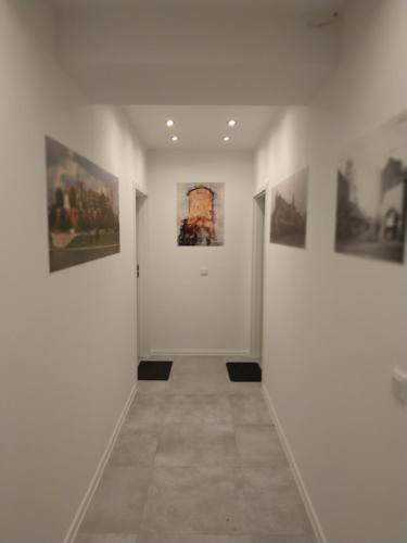 克拉科夫Lukas Guest Rooms的走廊上画廊墙上挂有绘画作品