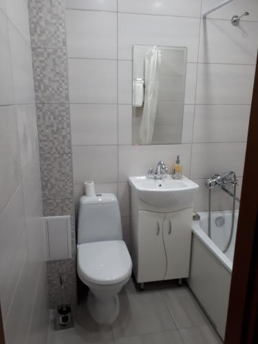 日托米尔Nebesnoyi Sotni的白色的浴室设有卫生间和水槽。