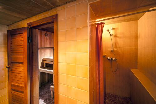 塔林埃里克斯别墅酒店的设有带步入式淋浴间和盥洗盆的浴室