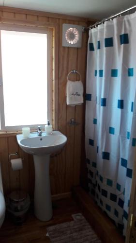 科克拉内Hostal Lejana Patagonia的一间带水槽和淋浴帘的浴室