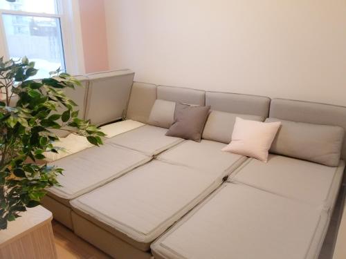 渥太华Charlotte Suites- Downtown的一张沙发,上面有两个枕头