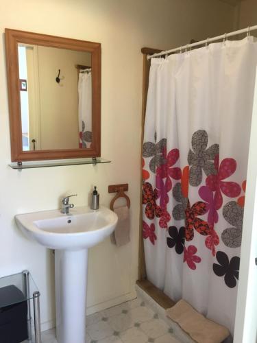 玛卡罗拉Mountainview Makarora Accommodation的浴室设有水槽和带蝴蝶的浴帘