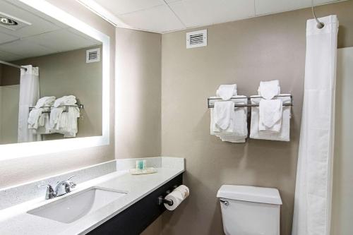 克拉丽奥柳江河酒店的一间浴室