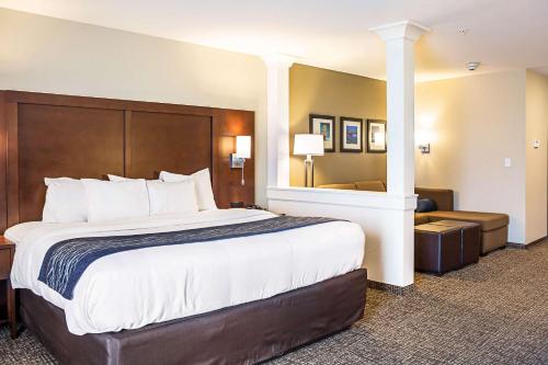 尼亚加拉瀑布Comfort Inn & Suites Niagara Falls Blvd USA的酒店客房设有一张大床和一张沙发。